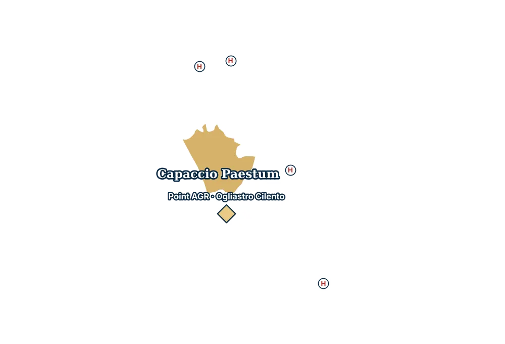 Mappa di Capaccio Paestum con gli ospedali più vicini e il Point AGR