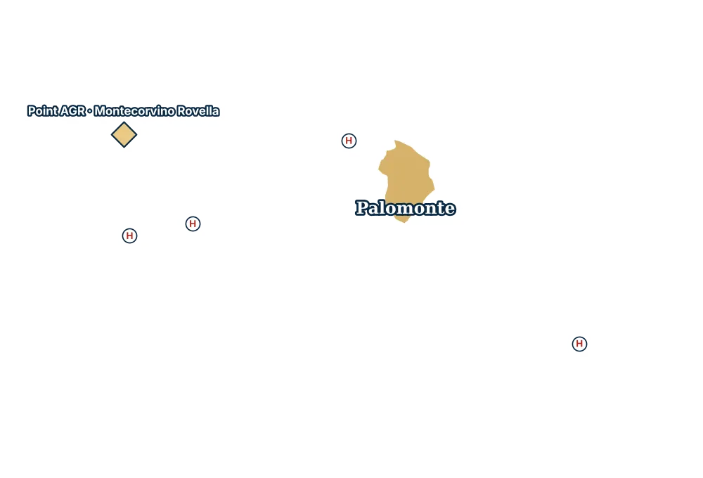 Mappa di Palomonte con gli ospedali più vicini e il Point AGR