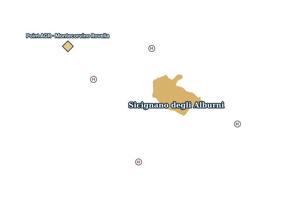 Mappa di Sicignano degli Alburni con gli ospedali più vicini e il Point AGR