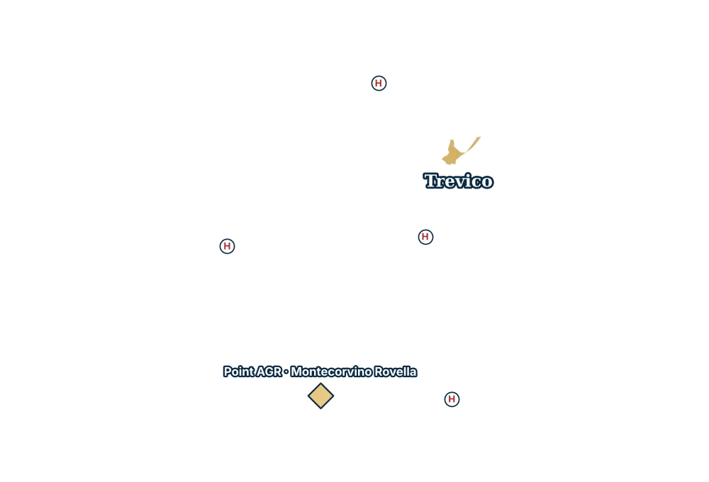Mappa di Trevico con gli ospedali più vicini e il Point AGR